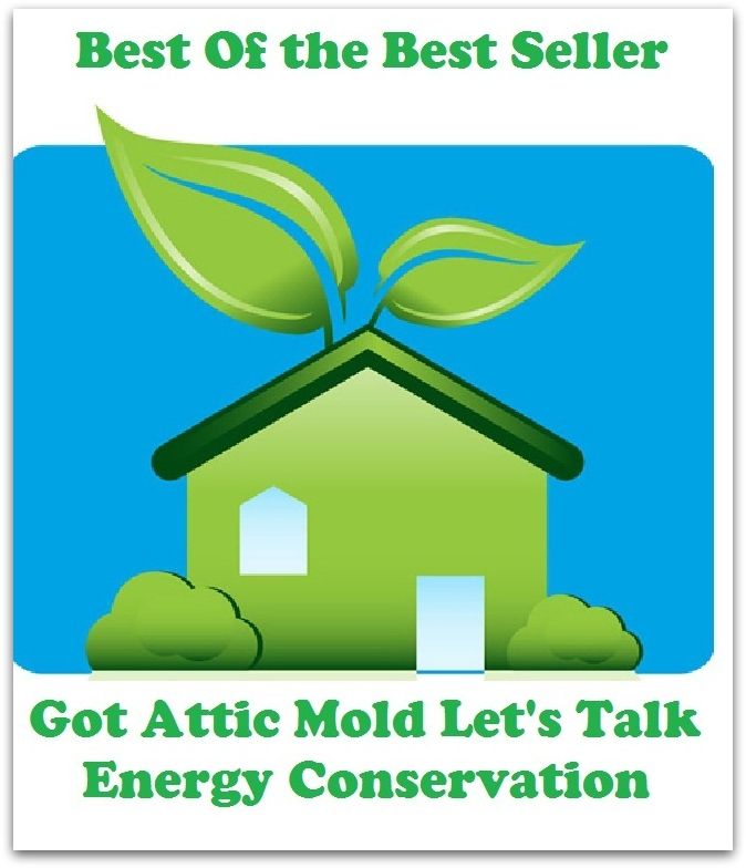 Best of the Best Sellers Got Attic Mold Lets Talk Energy Conservation (efficiency, ardor, dorcefulness. muscle, verve, intensity, birr, dash, pep, vim, power, drive, go,pluck,)