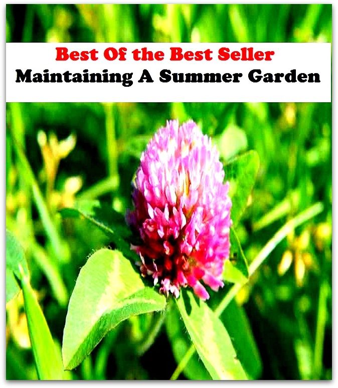 Best of the Best Sellers Maintaining A Summer Garden (back yard, greenhouse, tarrace, hothouse, plot, bed, nursery, conservatory, oasis, cold frame, field, patio, enclosure, patch)