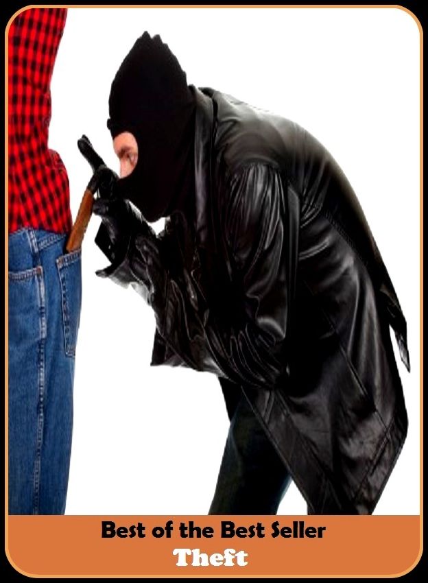 Best of the Best Sellers Theft(crime, break in, burglary, pinch, steal, looting, robbery, hold up, heist)