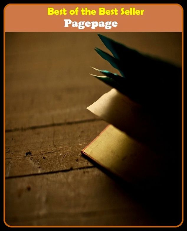 Best of the Best Sellers Page:(side, virso, leaf, folio, recto, surface, signature)