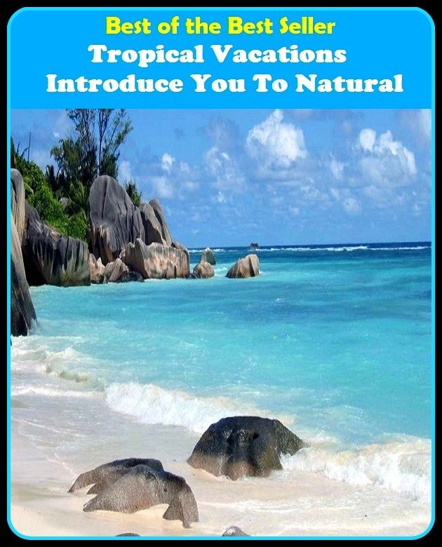 Best of the Best Sellers Tropical Vacations Introduce You To Natu (layoff, break, holiday, rest, leave, fiesta, respite, intermission, recess, spell)