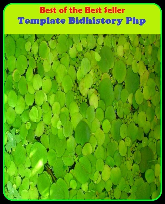 Best of the Best Sellers Template Bidhistory Php (device, figure, daigrum, guide, plan, mold, plan, dream, impression, stencil)