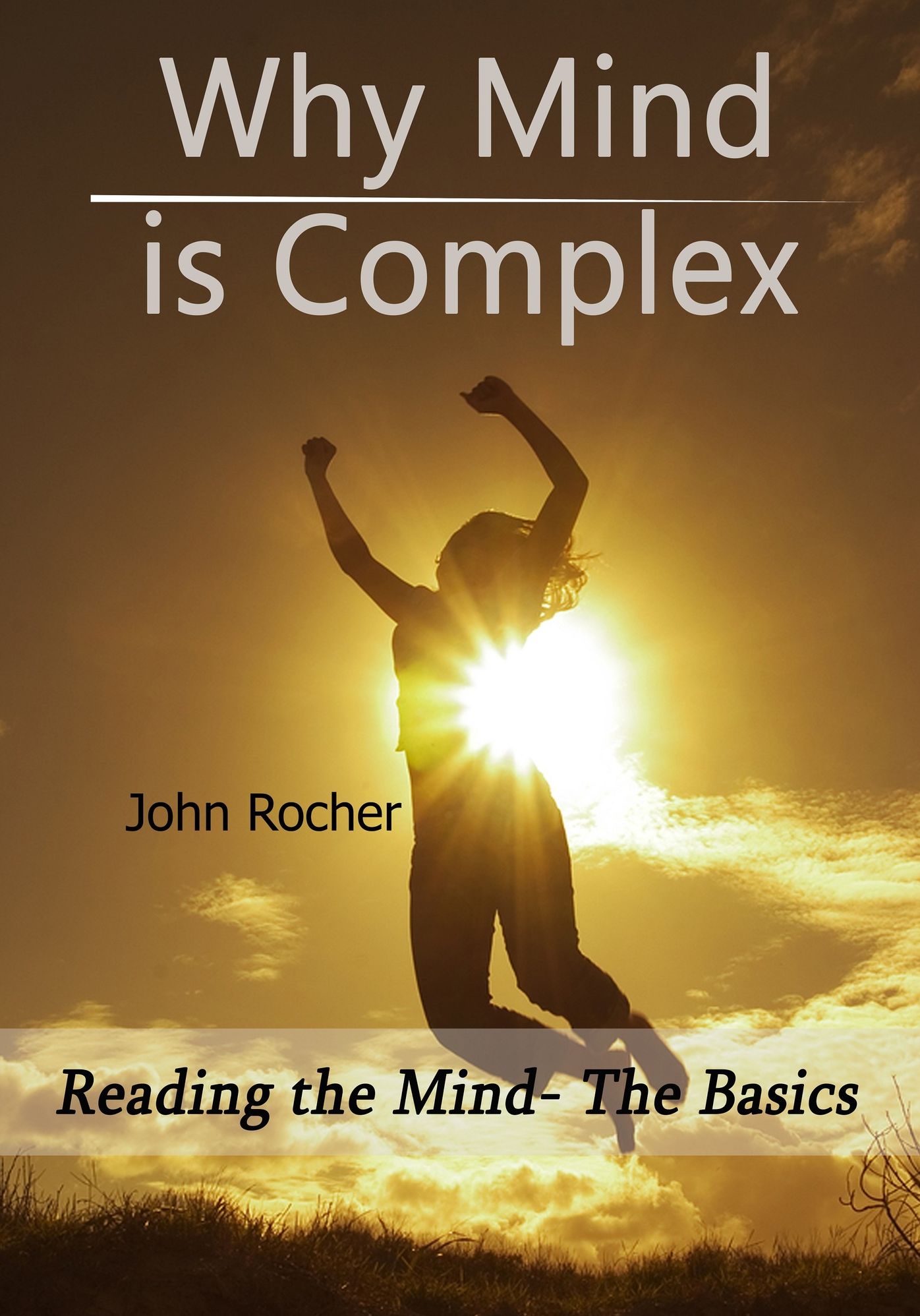 Why Mind is Complex