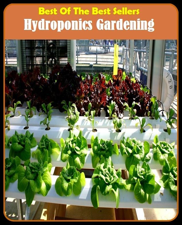 Gardening: Hydroponics Gardening (back yard, bed, field, greenhouse, nursery, patio, terrace, conservatory, enclosure, hothouse)