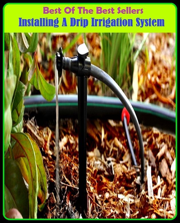 Best of The Best Sellers	Installing A Drip Irrigation System (arrangement, organization, rule, scheme, structure, classification, combination, complex, conformity, coordination, entity, ideology)