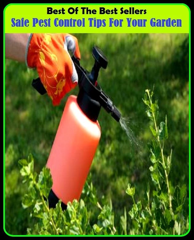 Best of The Best Sellers	Safe Pest Control Tips For Your Garden (back yard, bed, field, greenhouse, nursery, patio, terrace, conservatory, enclosure, hothouse)