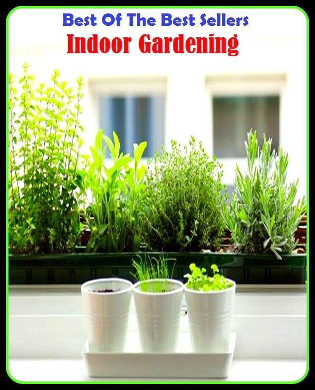 Best of The Best Sellers	Indoor Gardening (back yard, bed, field, greenhouse, nursery, patio, terrace, conservatory, enclosure, hothouse)