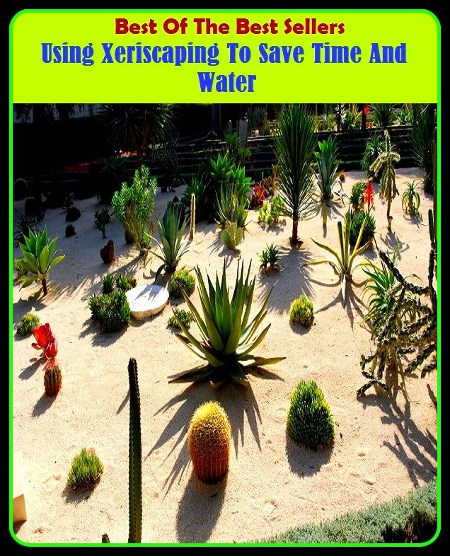 Best of The Best Sellers	Using Xeriscaping To Save Time And Water (deliver,free, recover, salvage, defend, emancipate, extricate, liberate, ransom, redeem)