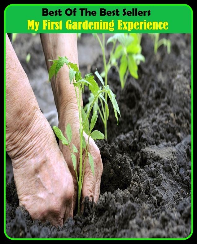Best of The Best Sellers	My First Gardening Experience (back yard, bed, field, greenhouse, nursery, patio, terrace, conservatory, enclosure, hothouse)