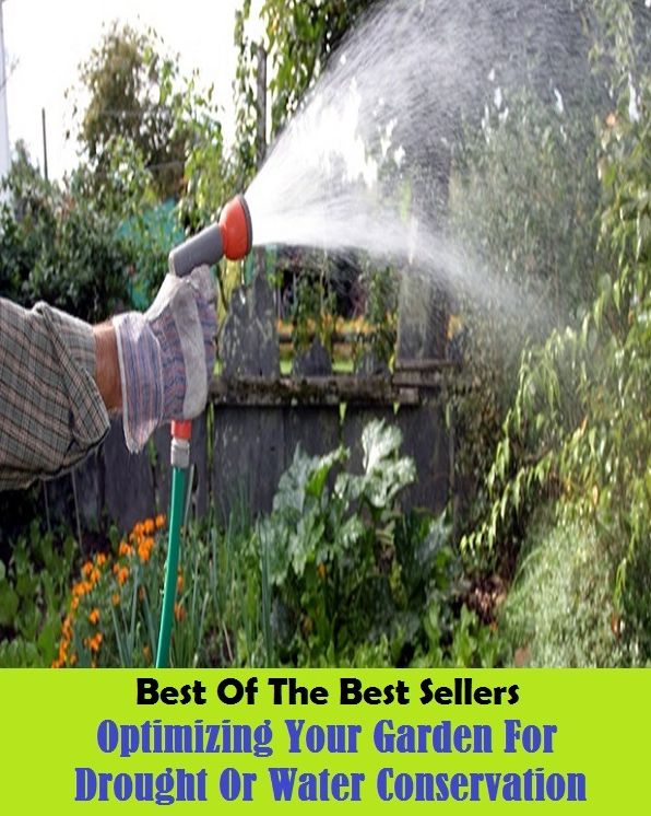 Best of The Best Sellers	Optimizing Your Garden For Drought Or Water Conservation ()back yard, bed, field, greenhouse, nursery, patio, terrace, conservatory, enclosure, hothouse