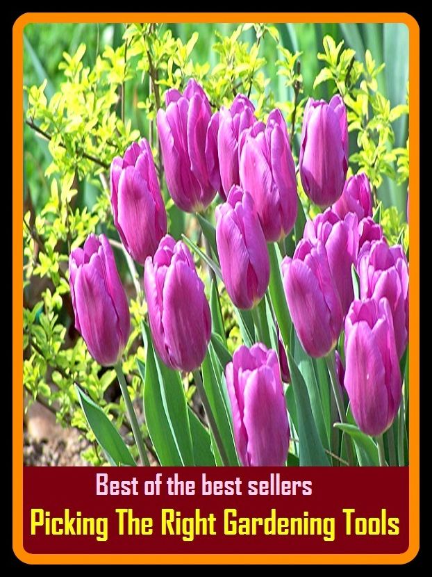 Best of The Best Sellers	Picking The Right Gardening Tools (back yard, bed, field, greenhouse, nursery, patio, terrace, conservatory, enclosure, hothouse)