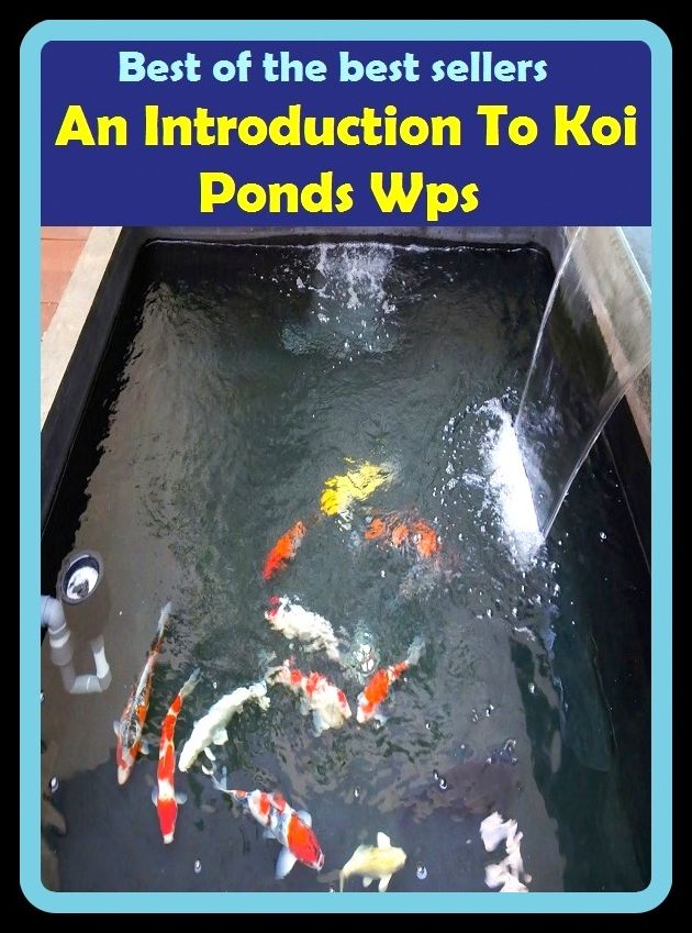 Best of The Best Sellers An Introduction To Koi Ponds Wps (addition,debut,establishment,inauguration,influx,initiation,installation,aunch,opening,preface)