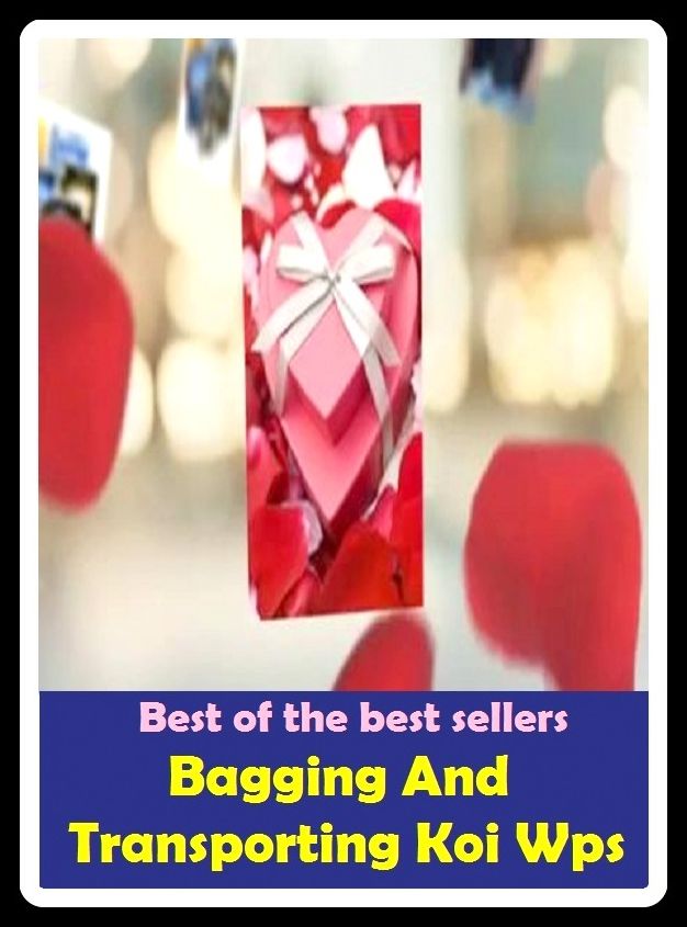 Best of The Best Sellers Bagging And Transporting Koi Wps (bring, carry, ferry, haul, lug, pack, remove, ride, ship, take)