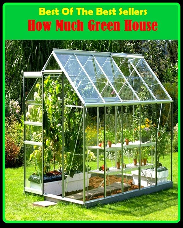 99 Cent Best Seller How Much Green House ( exercise, meditation, acupuncture, disease, digestive system, formula, medicine, remedy, fix, treatment, action, conduct, behavior, handling, gastrin, fitness, vitamins, healing, diet, cut down, starve yourself )