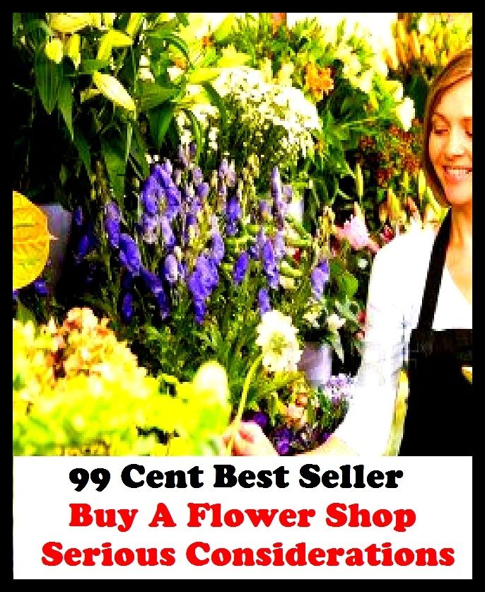 99 Cent Best Seller Buy A Flower Shop Serious Considerations ( business, employment, field, trade, work, bag, biz, calling, career, craft, dodge, function, game, line, livelihood, occupation, vocation )