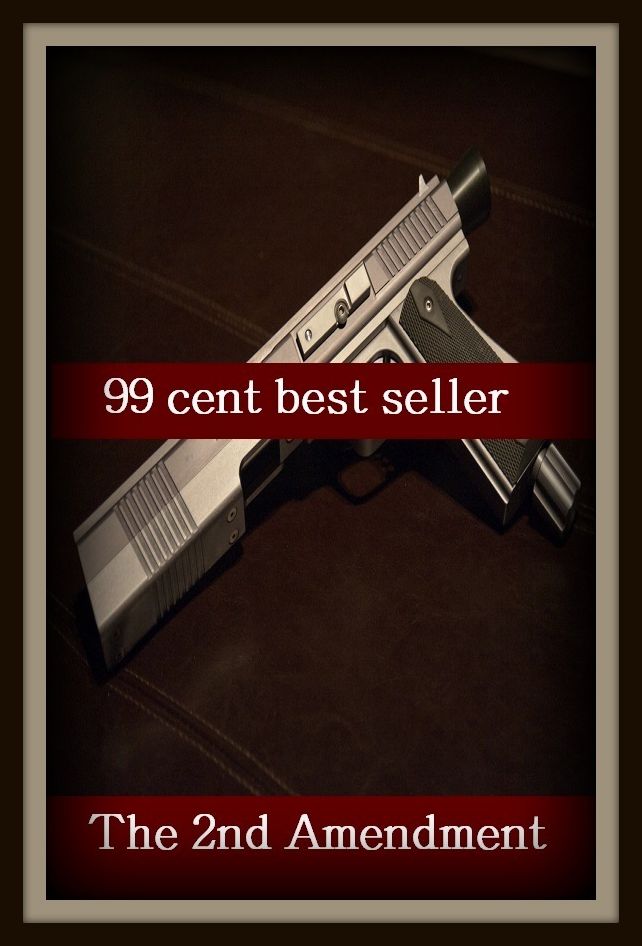 99 Cent Best Seller The nd Amendment ( amendment, manifesto, policy, proposal, program, suggestion, offer, application, communist, collective, socialist )