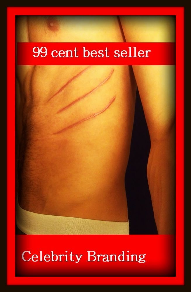 99 Cent Best Seller Celebrity Branding ( branding, stigmatize, taint, disgrace, mark, assembly, gathering, marshalling, rally, survey, marketing, advertising, promotion, selling )