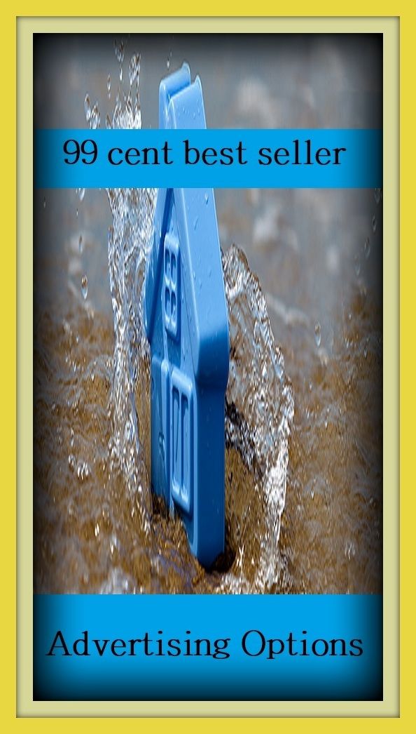 99 Cent Best Seller Advertising Options ( branding, stigmatize, taint, disgrace, mark, assembly, gathering, marshalling, rally, survey, marketing, advertising, promotion, selling )