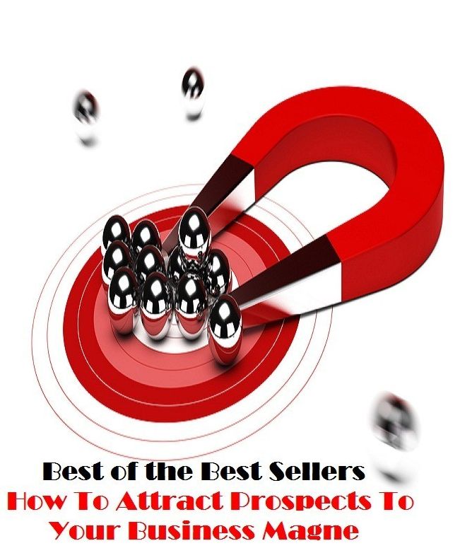 Best of the Best Sellers How To Attract Prospects To Your Business Magne ( calling, field, sphere, trade, metier, craft, biz, racket, game, business )