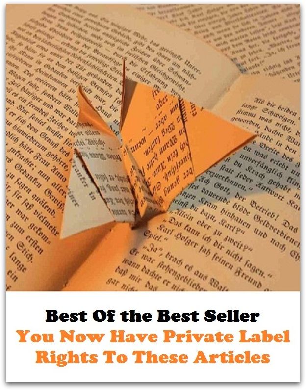 Best of the Best Sellers	You Now Have Private Label Rights To These Articles	( intimate, several, particular, corporeity, effect, rights, accessories, fittings, things, belongings, articles, lading )