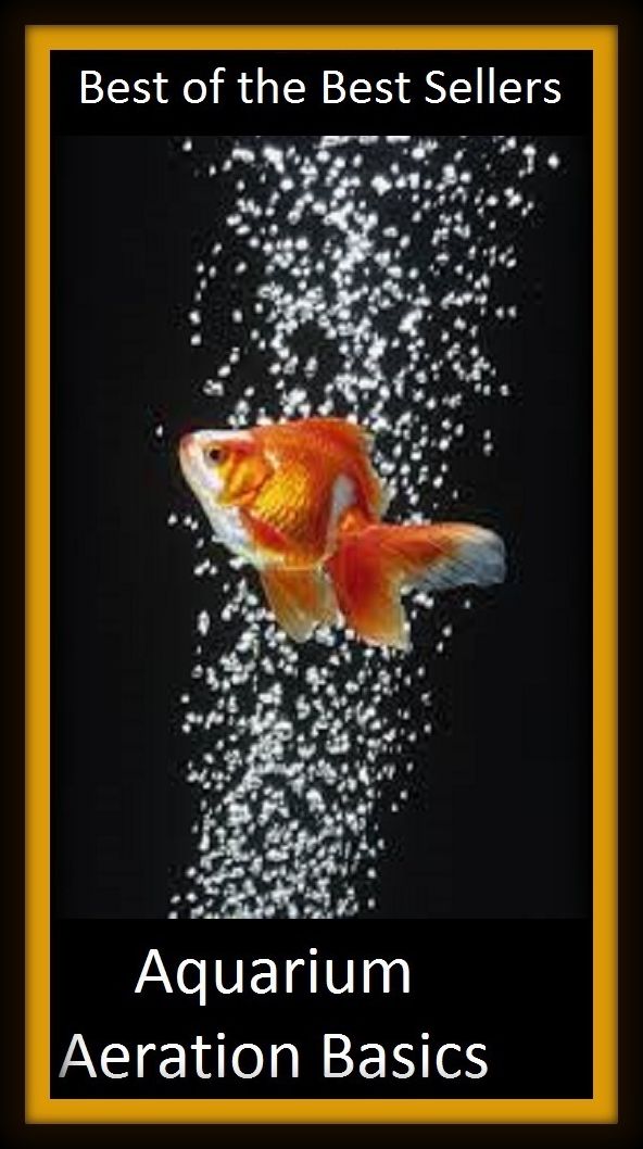 Best of the Best Sellers Aquarium Aeration Basics ( Aquarium , Aeration , Basics )