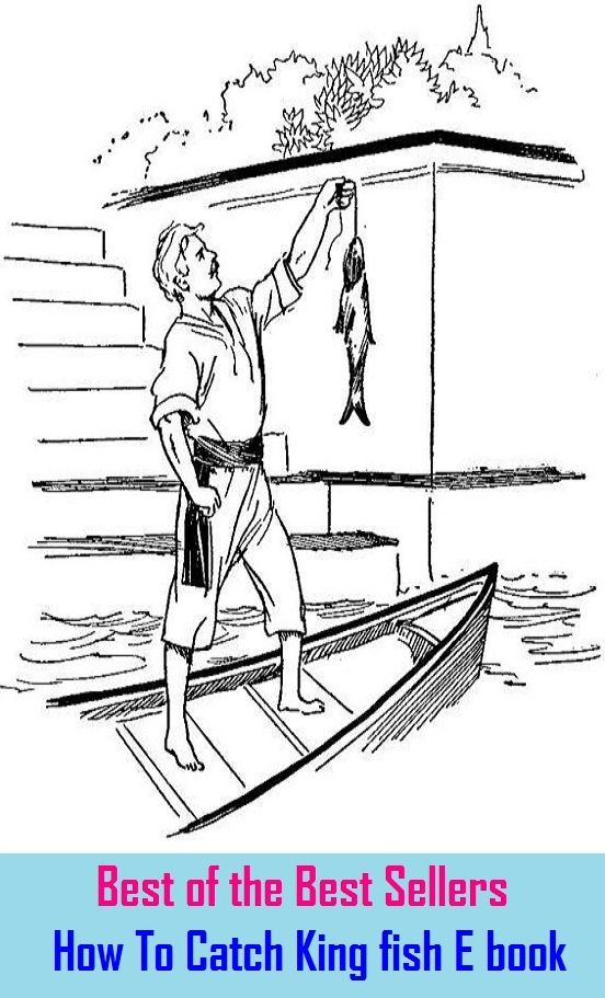 Best of the Best Sellers	How To Catch King fish E book ( catch, hold, stop at, apprehend, take to, catch hold of, register, book, ledger, exercise book, daybook )