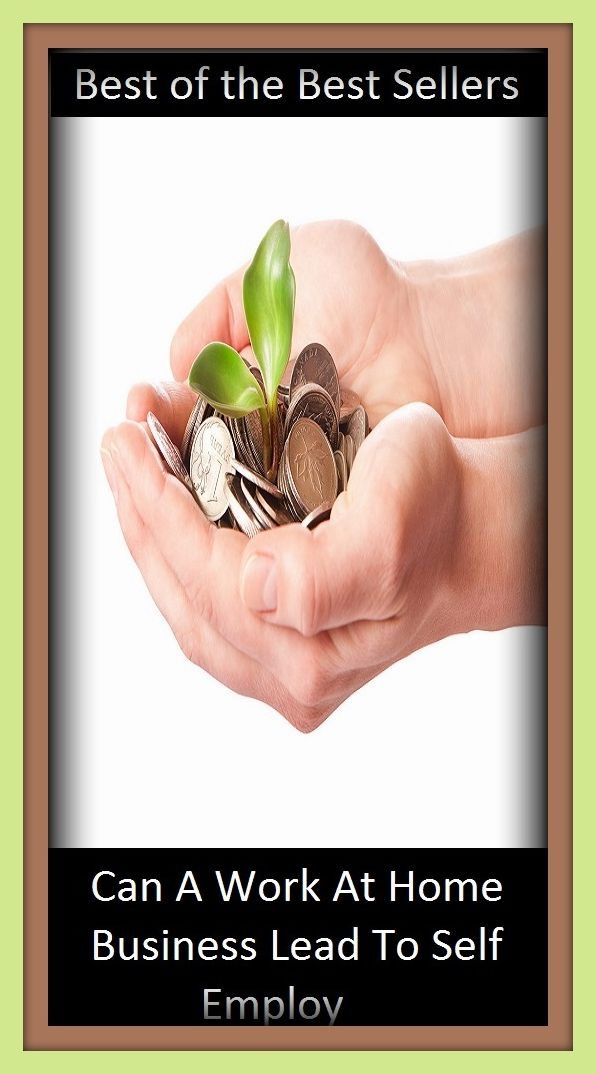Best of the best seller Can A Work At Home Business Lead To Self Employ (buying,commerce,retailing,selling,purchasing,allotting,allotment, apportioning, apportionment, assessment)