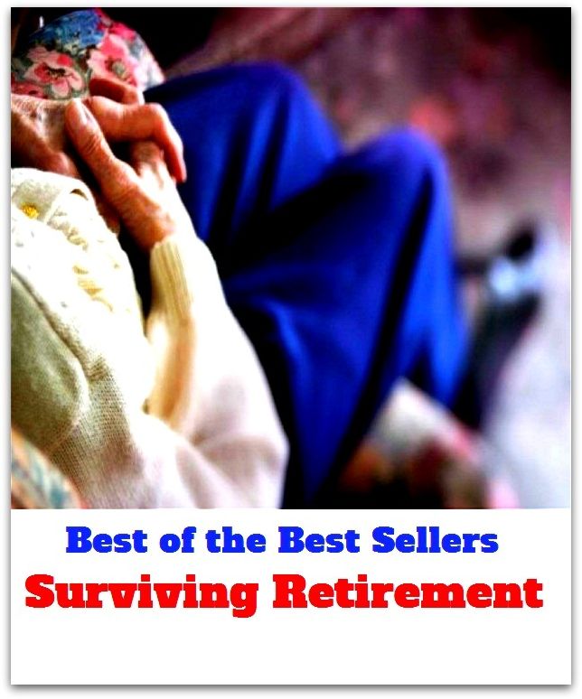 Best of the best sellers Surviving Retirement ( approach, ideology, method, theory, hypothesis, conjecture, speculation, assumption, premise, presumption, guess )