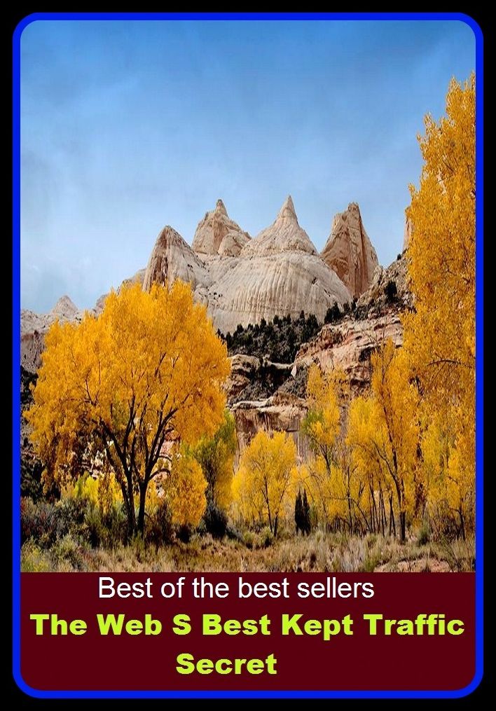Best of the Best Sellers The Web S Best Kept Traffic Secret ( ESP, wholesale, balance of trade, two-way communication, barter, travel, big business, transport, bootleg )