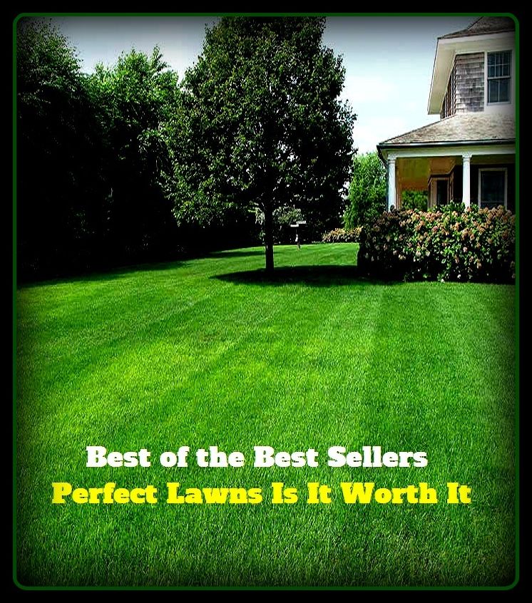Best of the Best Sellers Perfect Lawns Is It Worth It (backyard, grass, park, yard, grassroots, garden, green, terrace, plot, patio)