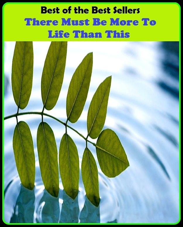 Best of the best sellers There Must Be More To Life Than This ( Theology, Ethics, Thought, Theory, Self Help, Mystery, romance, action, adventure, sci fi, science fiction, drama, horror, thriller, classic, novel, literature, suspense )