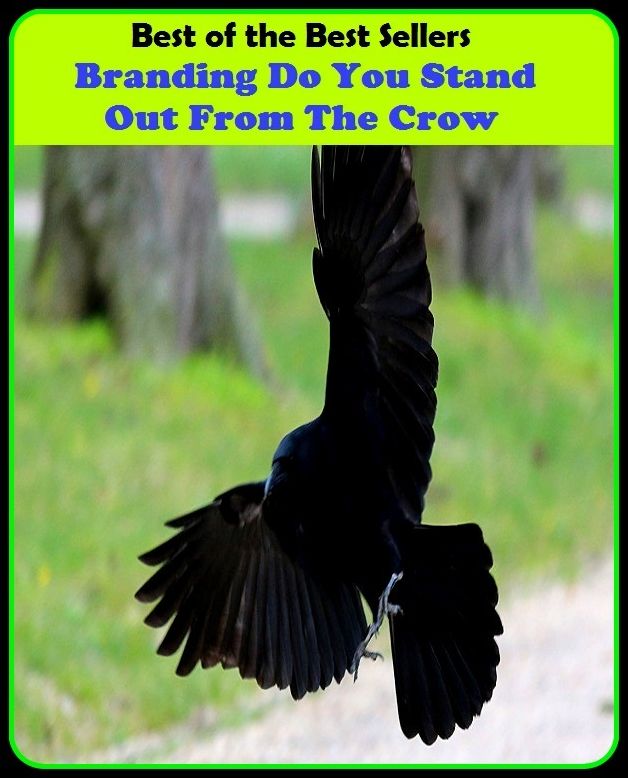 Best of the best sellers Branding Do You Stand Out From The Crow ( branding, stigmatize, taint, disgrace, mark, assembly, gathering, marshalling, rally, survey, marketing, advertising, promotion, selling )