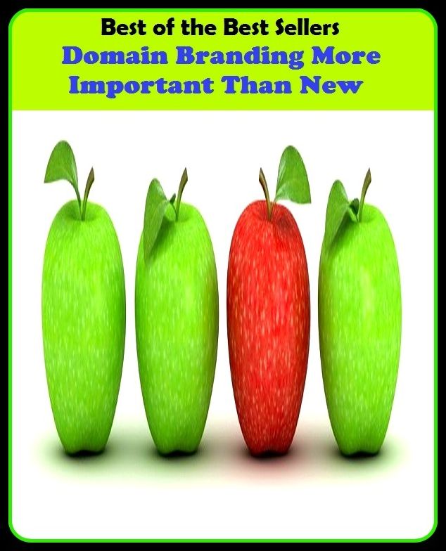 Best of the best sellers Domain Branding More Important Than New ( branding, stigmatize, taint, disgrace, mark, assembly, gathering, marshalling, rally, survey, marketing, advertising, promotion, selling )