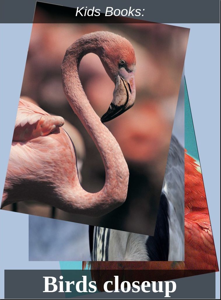 Kids Books: #6 ( Wildlife, Nature, Sea Life, Wild Birds, Corals, Tigers, Lions, Bears, Elephants, Fish, Sharks, Marine Life, Endangered, Conservation, Ecology, Substainable Living, Tree, Flower )
