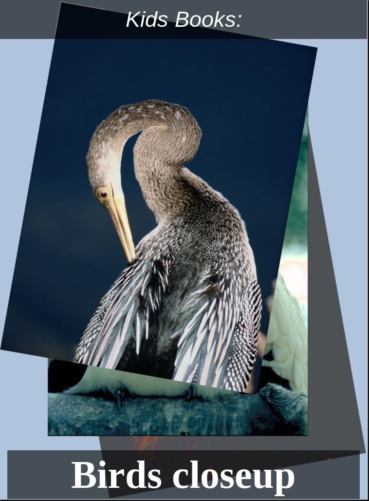Kids Books: #5 ( Wildlife, Nature, Sea Life, Wild Birds, Corals, Tigers, Lions, Bears, Elephants, Fish, Sharks, Marine Life, Endangered, Conservation, Ecology, Substainable Living, Tree, Flower )