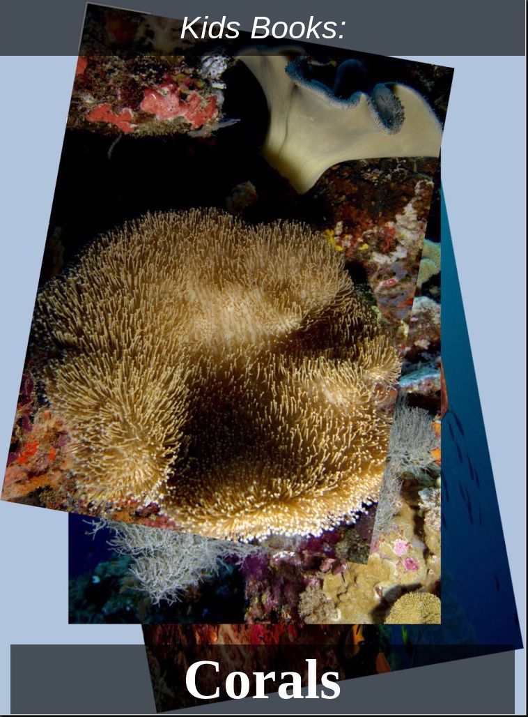 Kids Books: #13 ( Wildlife, Nature, Sea Life, Wild Birds, Corals, Tigers, Lions, Bears, Elephants, Fish, Sharks, Marine Life, Endangered, Conservation, Ecology, Substainable Living, Tree, Flower )