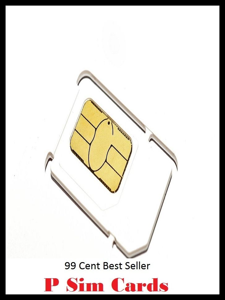 99 Cent Best Seller P Sim Cards ( fencing, lattice, fence, frame, game, play, online game, gaming jone, play station, play, computer game, war game, video game )