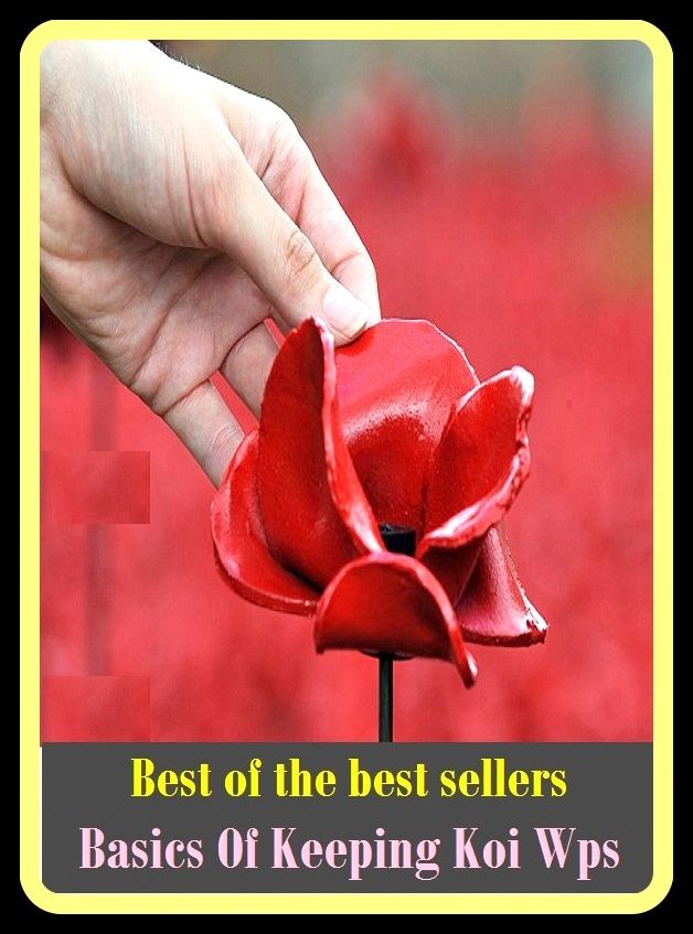 Best of The Best Sellers Basics Of Keeping Koi Wps (carry, conduct, control, enjoy, have, manage, place, preserve, put, retain)