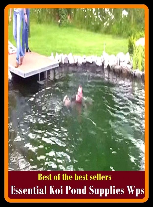 Best of The Best Sellers Essential Koi Pond Supplies Wps (crucial, fundamental, imperative, indispensable, main, necessary, needed, capital, cardinal, chief)