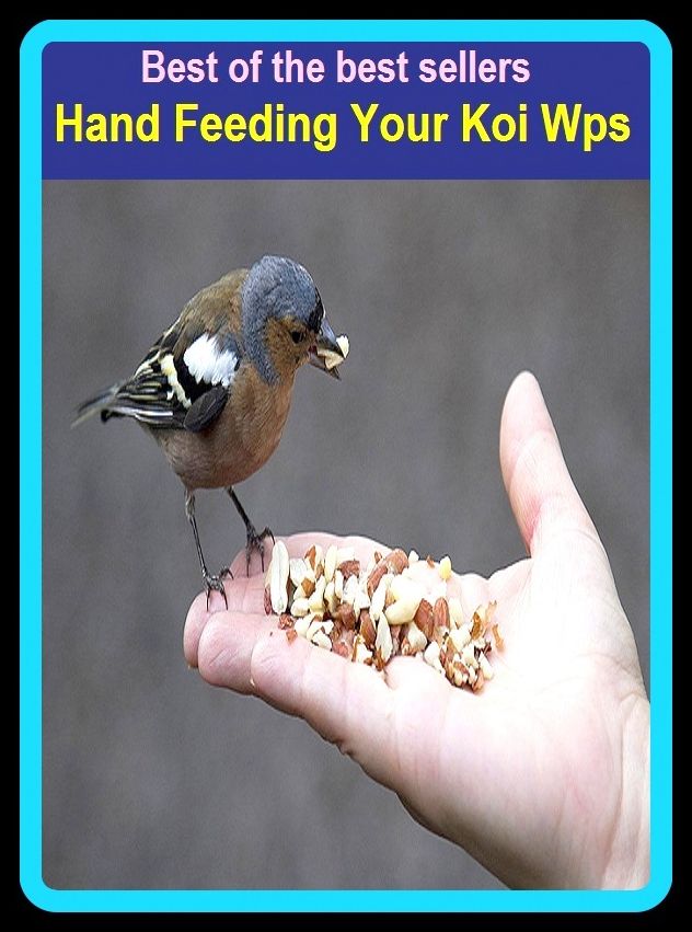 Best of The Best Sellers	Hand Feeding Your Koi Wps (bolster, deliver, encourage, fill, find, fuel, give, maintain, nourish, provide)
