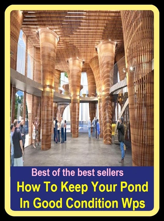 Best of The Best Sellers	How To Keep Your Pond In Good Condition Wps (carry, conduct, control, enjoy, have, manage, place, preserve, put, retain)
