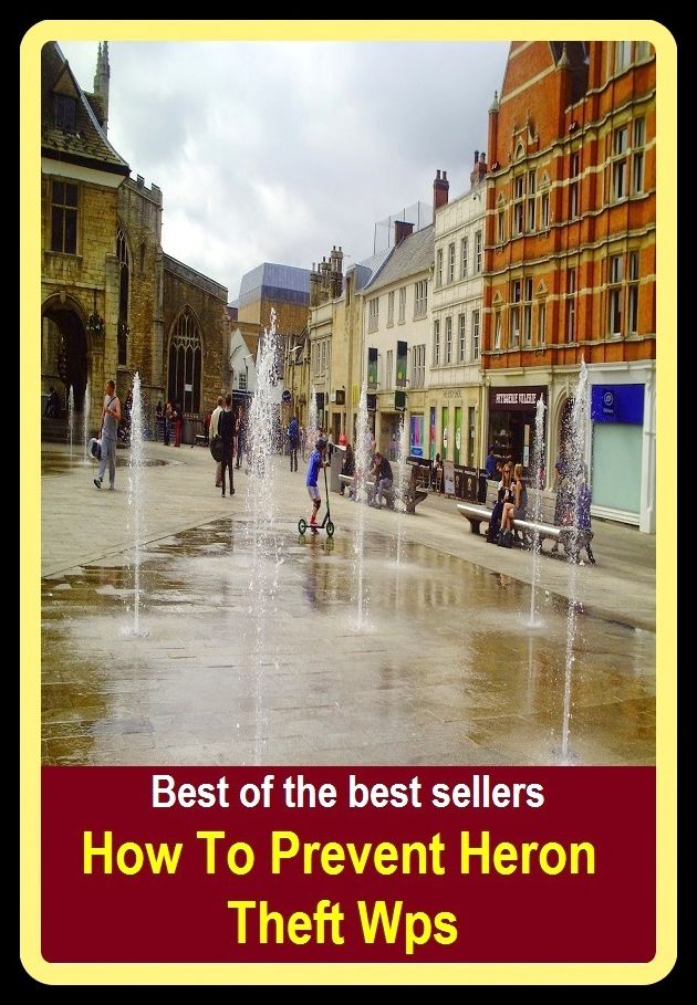 Best of The Best Sellers	How To Prevent Heron Theft Wps (avoid avert, bar, block, counter, forbid, forestall, halt, hamper, hinder)