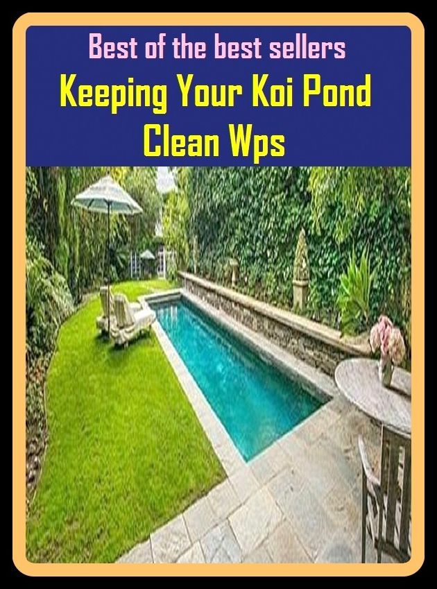 Best of The Best Sellers	Keeping Your Koi Pond Clean Wps (carry, conduct, control, enjoy, have, manage, place, preserve, put, retain)