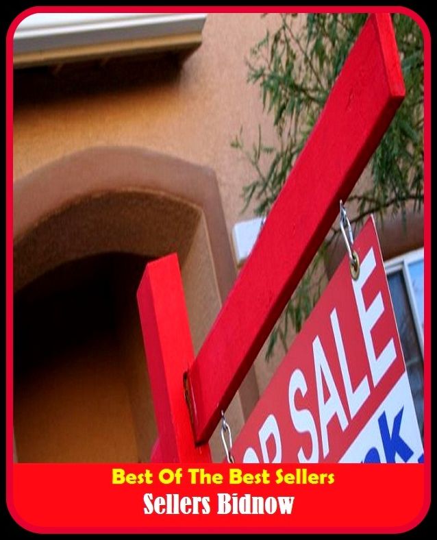 Best of the Best Sellers Bidnow ( bidirectionally, bi disperse, bi distilled, bimodal, rabidness, bison, Bonneville, bi doublet, biddable, bid pal network )