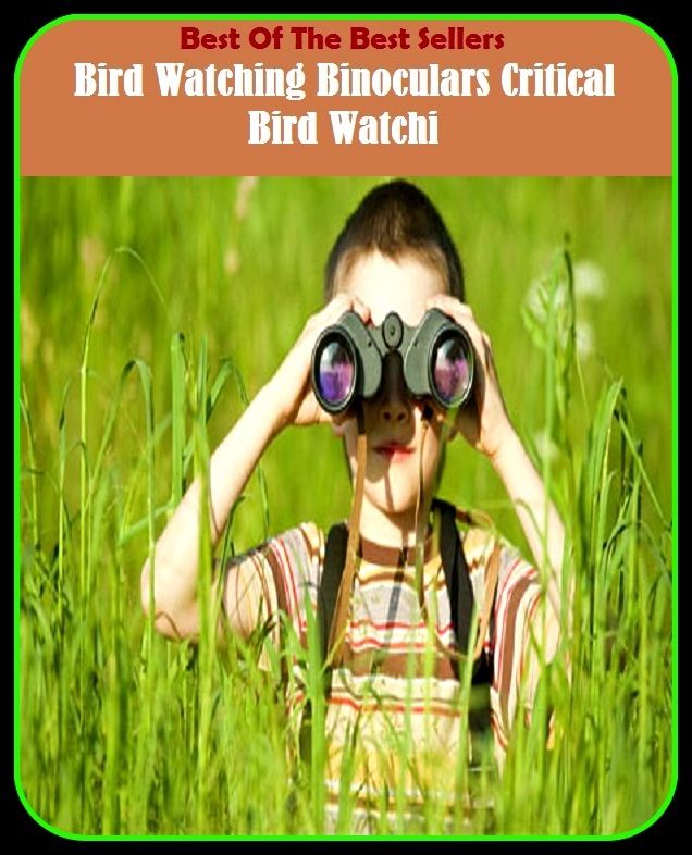 Best of the Best Sellers Bird Watching Binoculars Critical Bird Watchi ( bird stone, bird strike, bird table, bird vetch, bird watcher, bird's eye, bird's eye view, bird's foot, bird's foot clover, bird's foot trefoil)