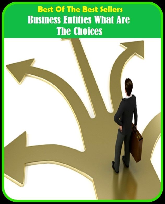 Best of the Best Sellers Business Entities What Are The Choices ( business editor, business education, business end, business engine, business enterprise, business establishment, business ethics, business executive, business expense, business firm )