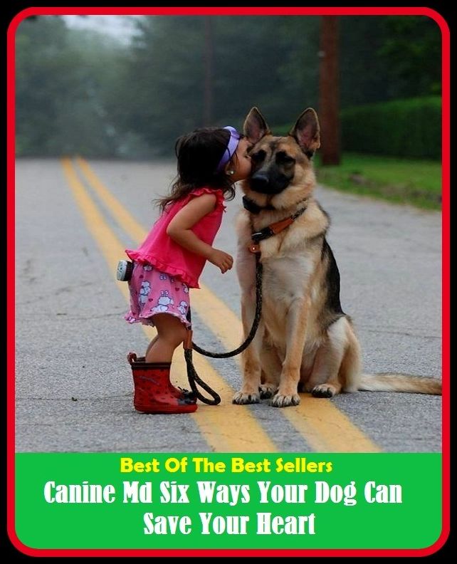 Best of the Best Sellers Canine Md Six Ways Your Dog Can Save Your Heart (dog bent, dog biscuit, dog bite, dog bone, dog breeding, dog catcher, dog collar, dog day, dog days, dog dirt )