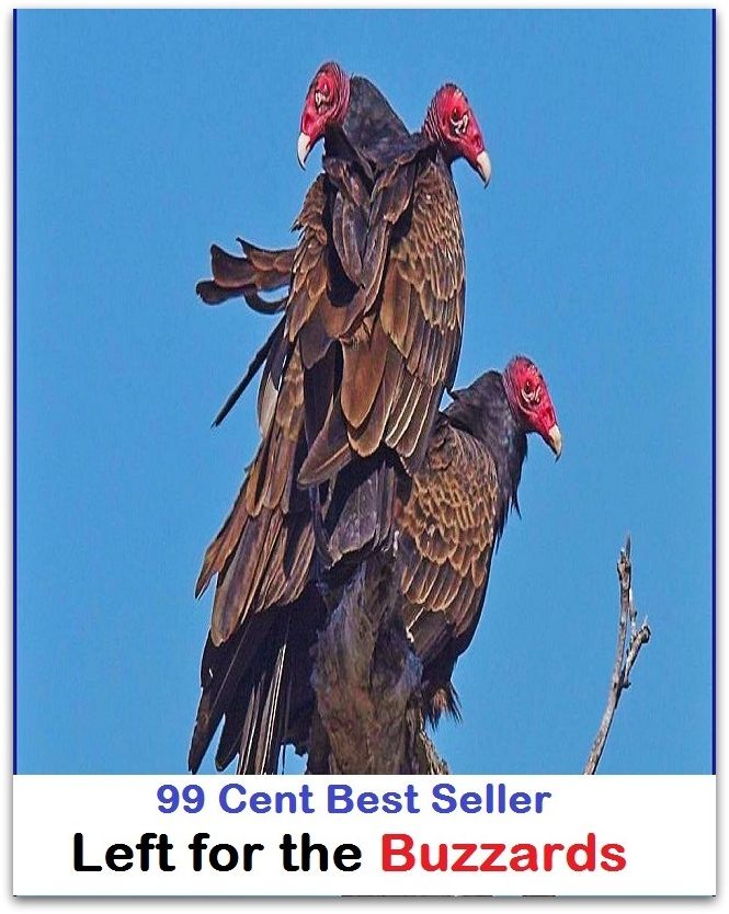 Adventure: 99 Cent best seller Adventure, Horror, Mystery Classics Best Seller's for 99 Cents Left fer the Buzzards ("left brace, left bracket, left brain, left coronary artery, left coset, left field, left fielder, left gastric vein)