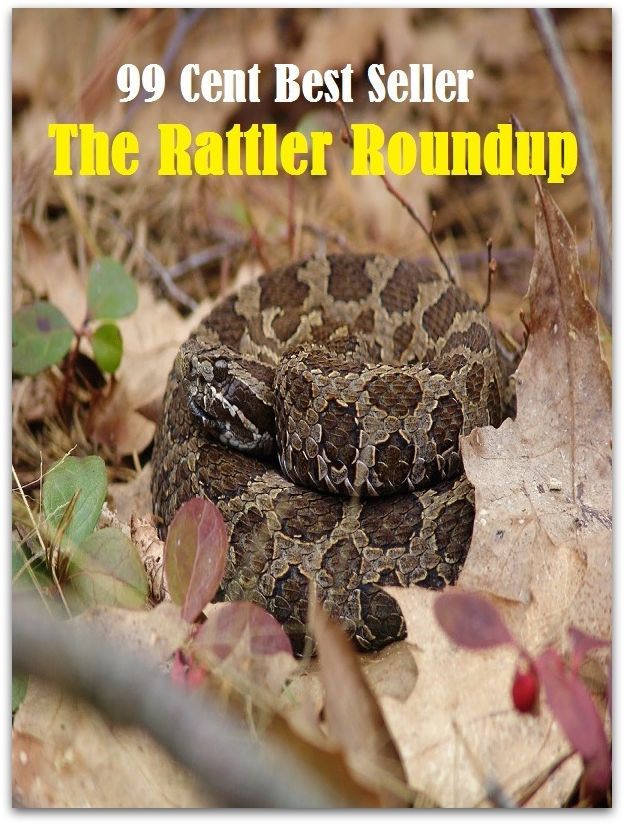 Mystery: 99 Cent Best Seller Adventure, Horror, Mystery Classics Best Seller's for 99 Cents The Rattler Roundup ( adventure, fantasy, romantic, action, fiction, humorous, historical, romantic, thriller, crime, journey, science fiction, amazing )