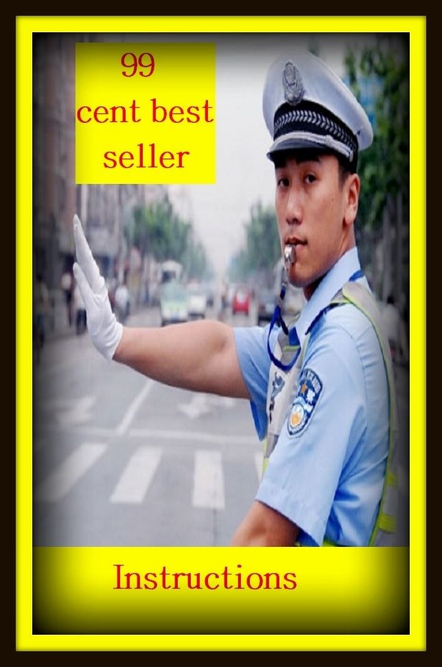 99 Cent Best Seller Instructions ( way, method, means, technique, mode, system, approach, manner, line of attack, routine )